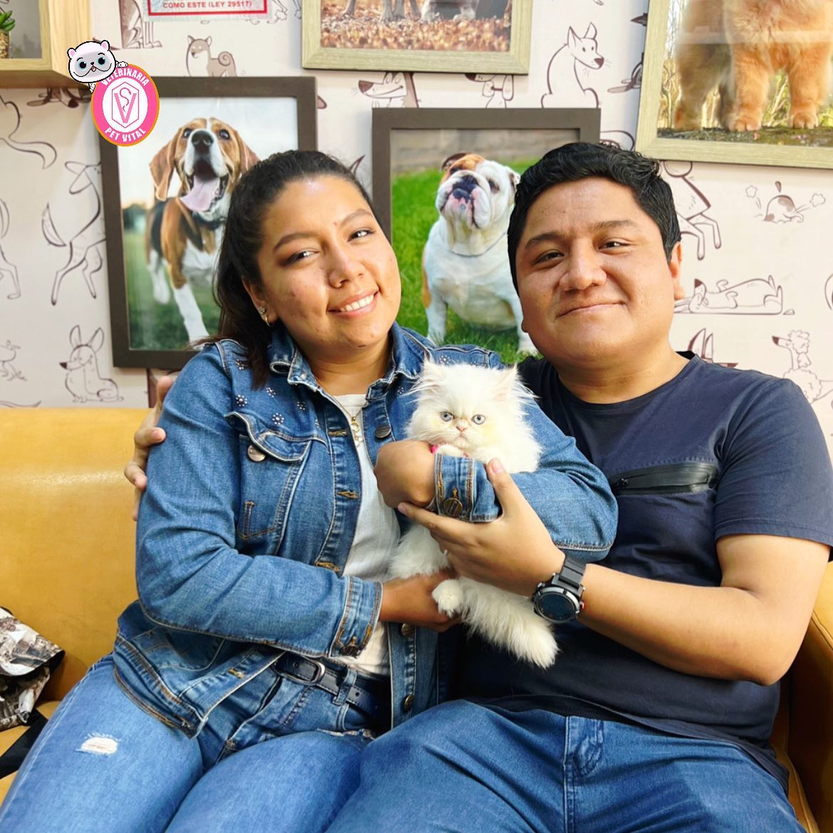 Un Persa encontro su nueva familia